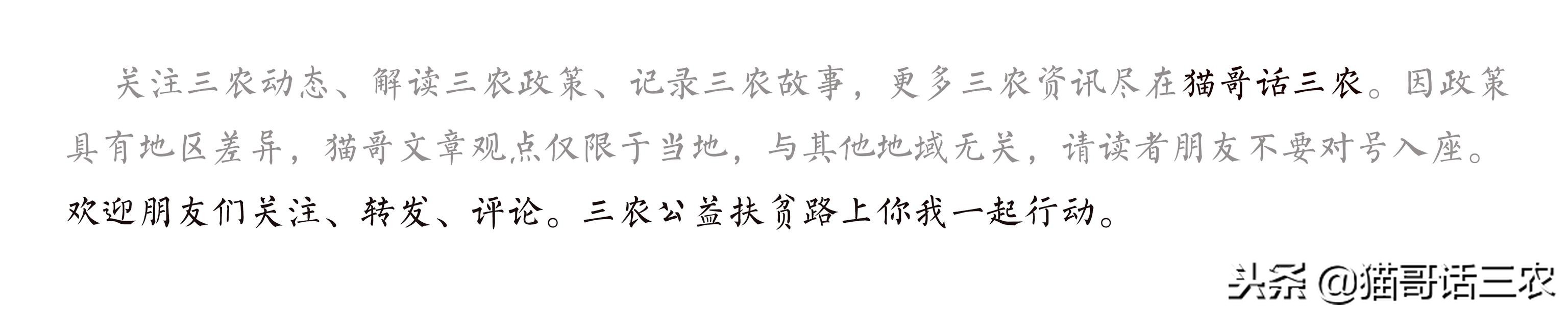 聒的意思是什么（话口袋子的意思是什么）