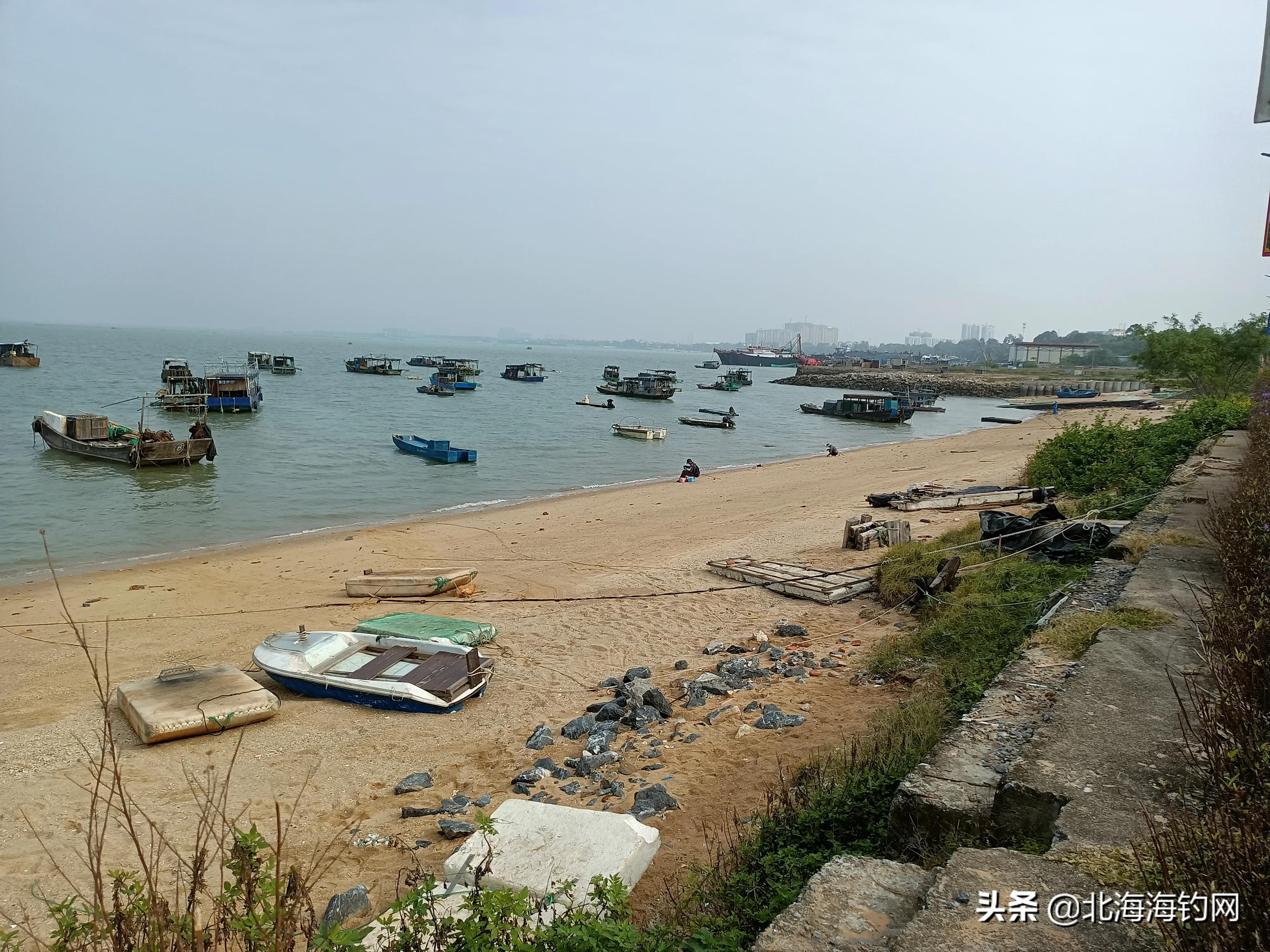 北海廉州湾沙脚鱼村海域钓鱼