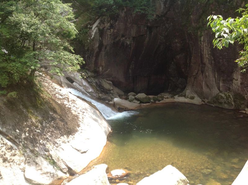 《春游湖》赏读及炼字类题型答题步骤