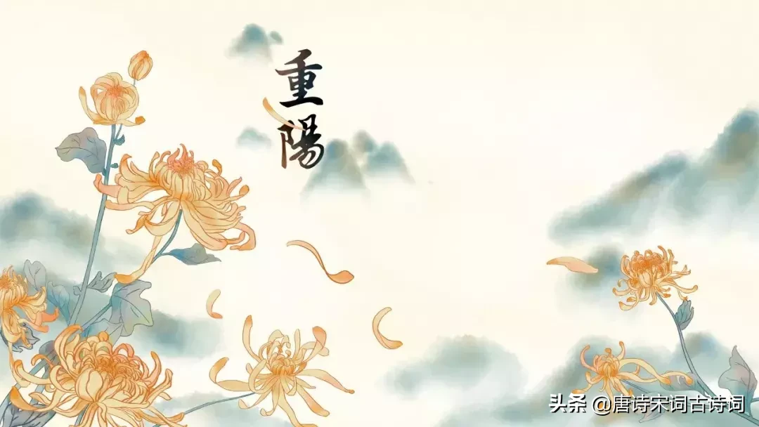 秋风送爽菊香浓，五彩缤纷映日红。