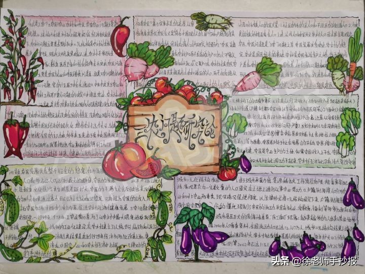 有人爱有人恨的手抄报作业，到底有没有用？