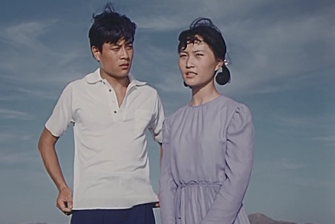 看老电影《骆驼草》