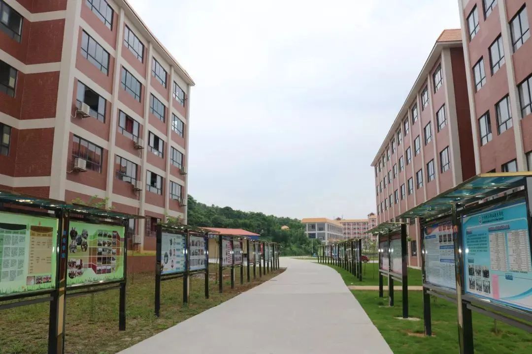 高职高考必看｜全面了解广州珠江职业技术学院