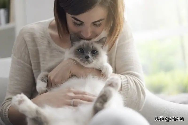 别再瞎用药了！猫咪耳螨，治疗真的很简单