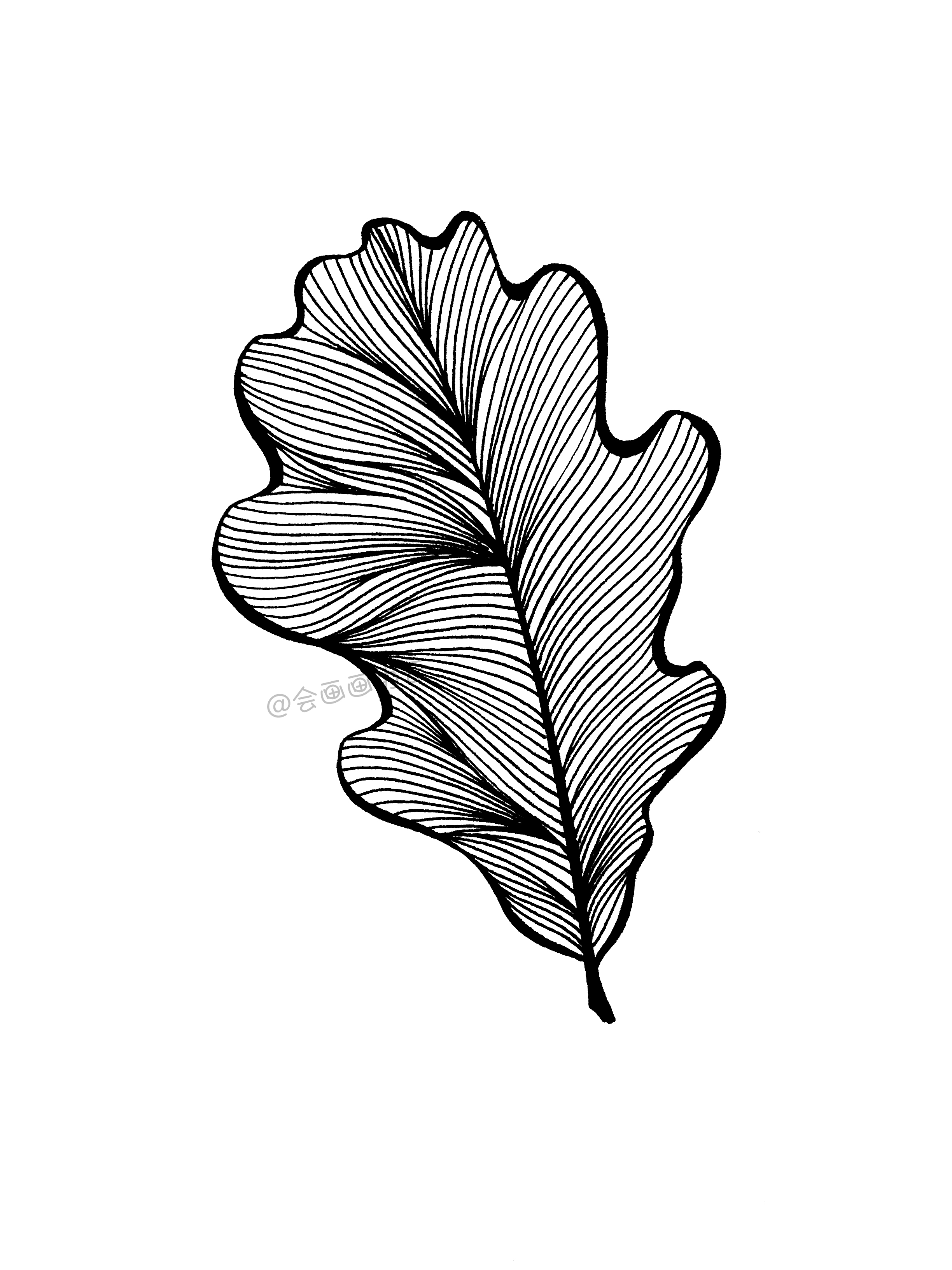 叶子的步骤都是一样的,也许第一步形的线条画的不是特别流畅,没有关系