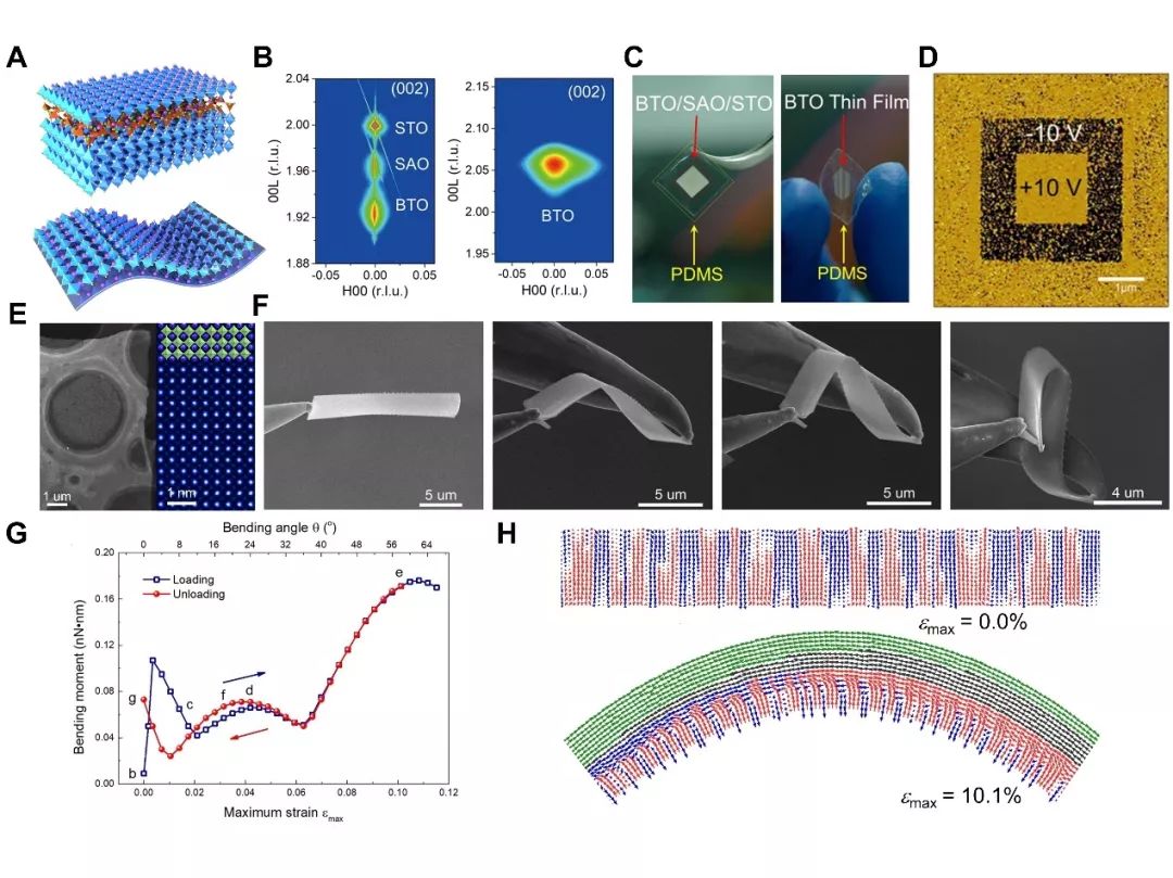 《科学》杂志发表+1！盘点西安交大近期6篇《科学》！