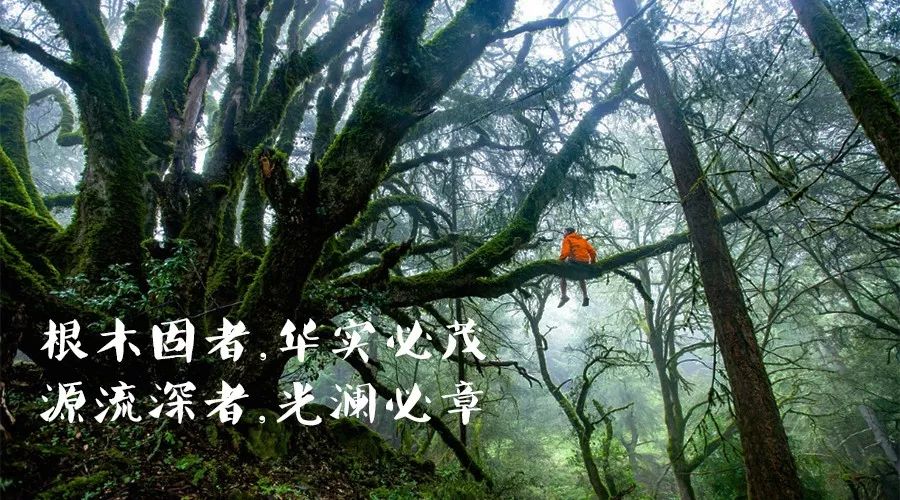 这些品牌是国货还是洋货？大部分人答错了