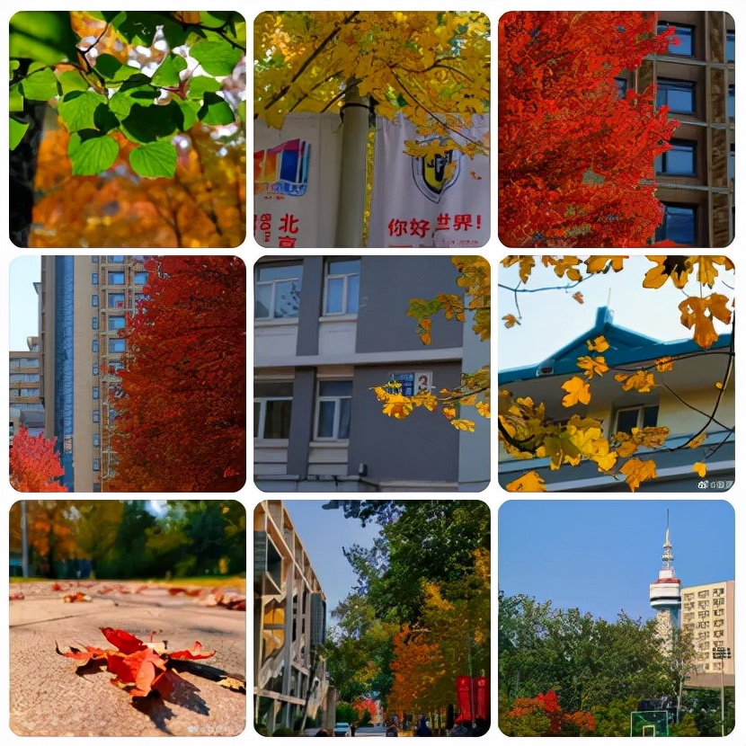 震撼！全国高校最美秋景大PK，哪所高校最最最惊艳？