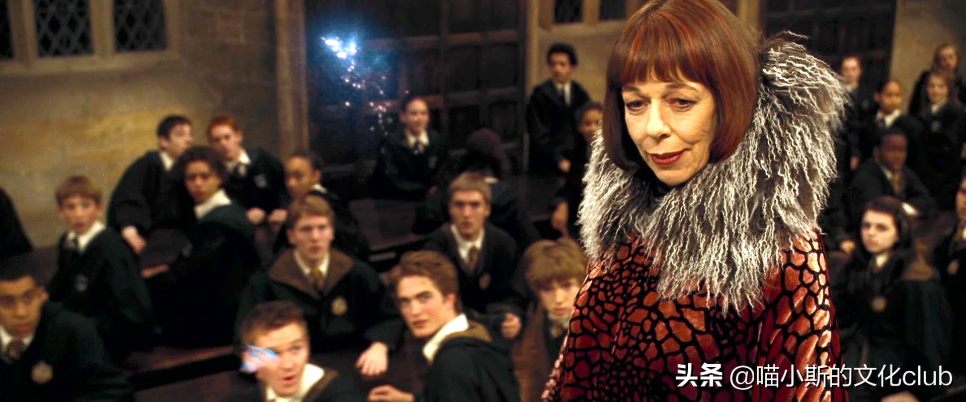 《哈利·波特》：鲁伯·海格与马克西姆夫人，相见恨晚的巨人之恋