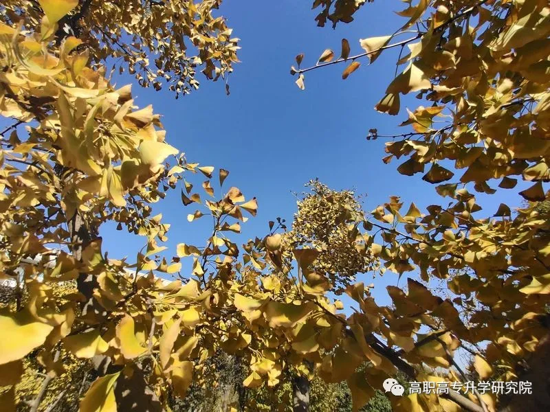 河南机电职业学院