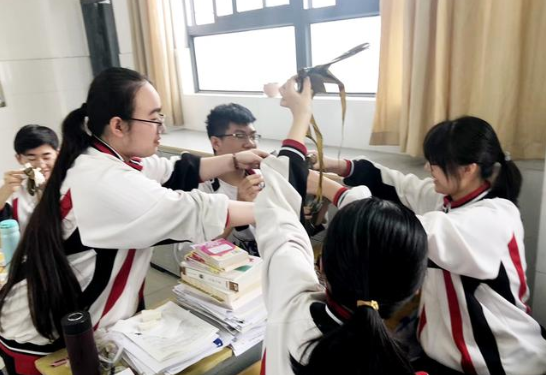 高考“分数线”陆续公布，这个省的文科生慌了：为啥受伤的总是我