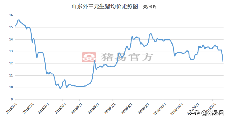山东：今天掉0.5元/公斤，猪价暂无上涨希望！