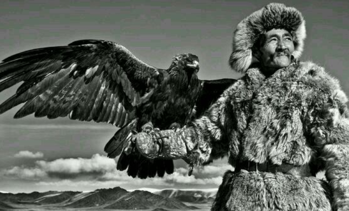 海东青是什么 乜怎么读音-丹霞百科