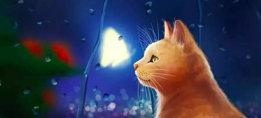 孩子,你的懂事,让人心疼