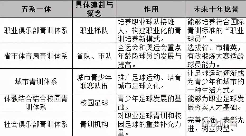 足球革新(2020中国足球报告之青训：大纲带动革新 五系一体写新篇章)