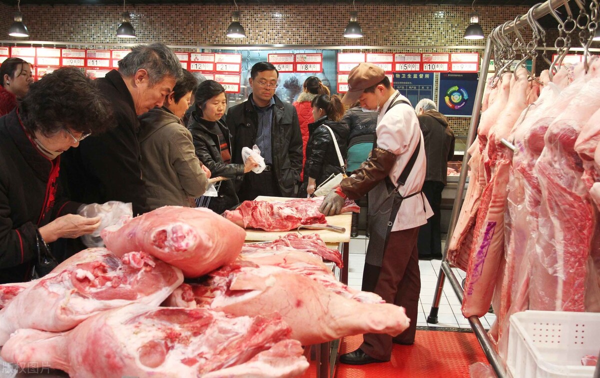 赤峰猪肉多少钱一斤今日猪价（赤峰猪肉价格今日价一斤）