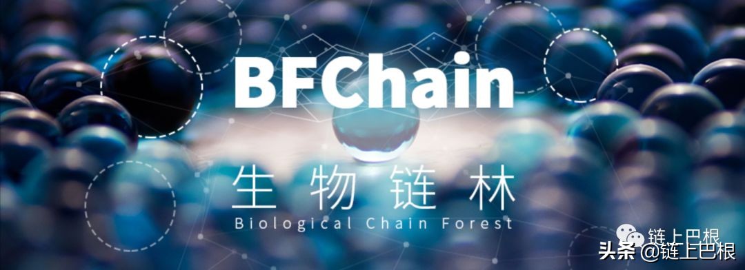 生物链林BFChain将如何谱写智能合约的未来？