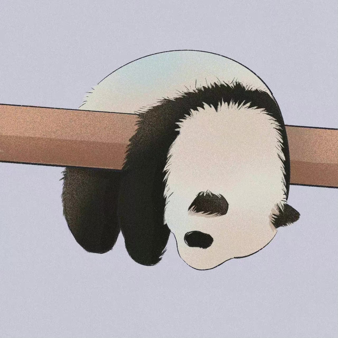 可爱的大熊猫头像