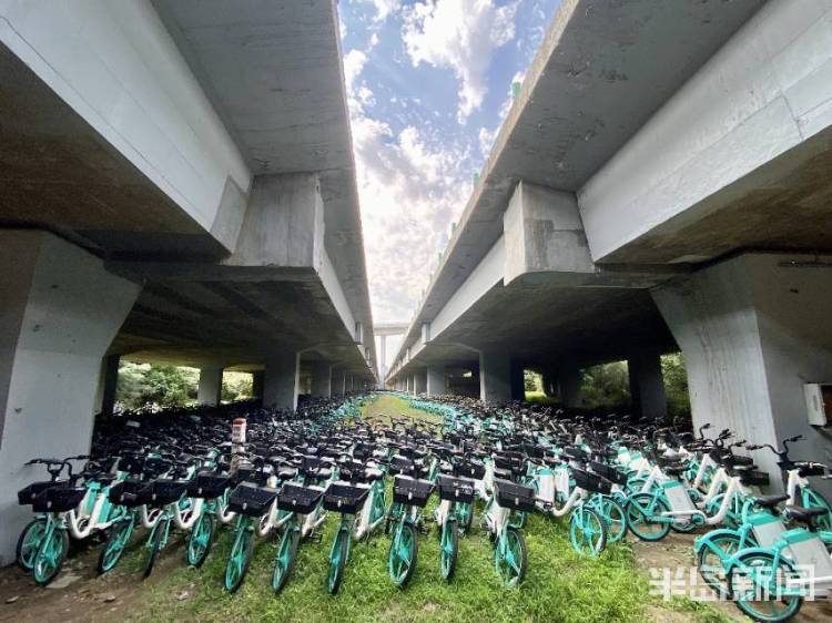 半岛独家丨太壮观！数千辆共享电动自行车藏身立交桥下！网友发问：危险不？车牌呢？