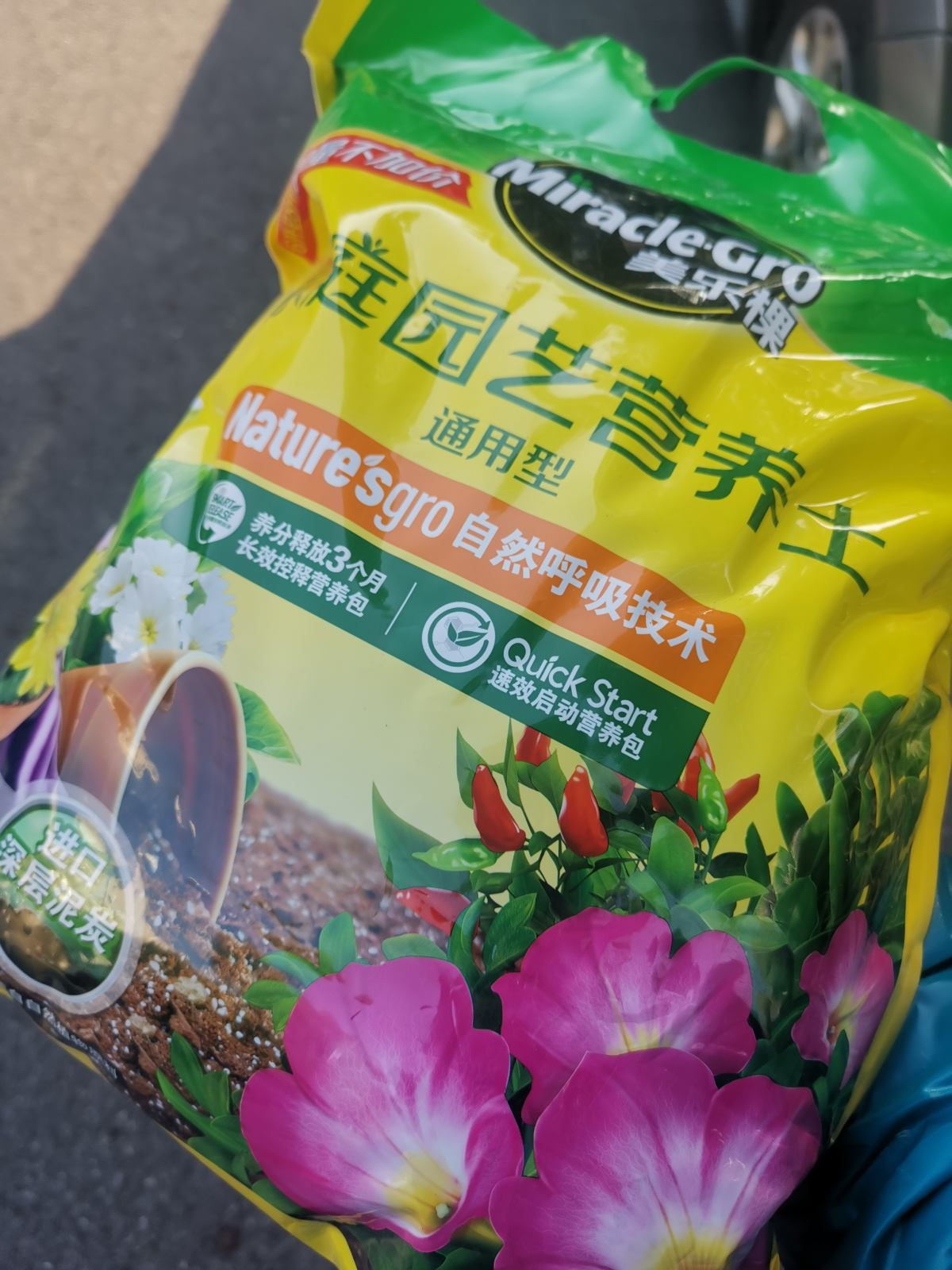 植物生长需要什么（4种养花常备的必需品介绍）