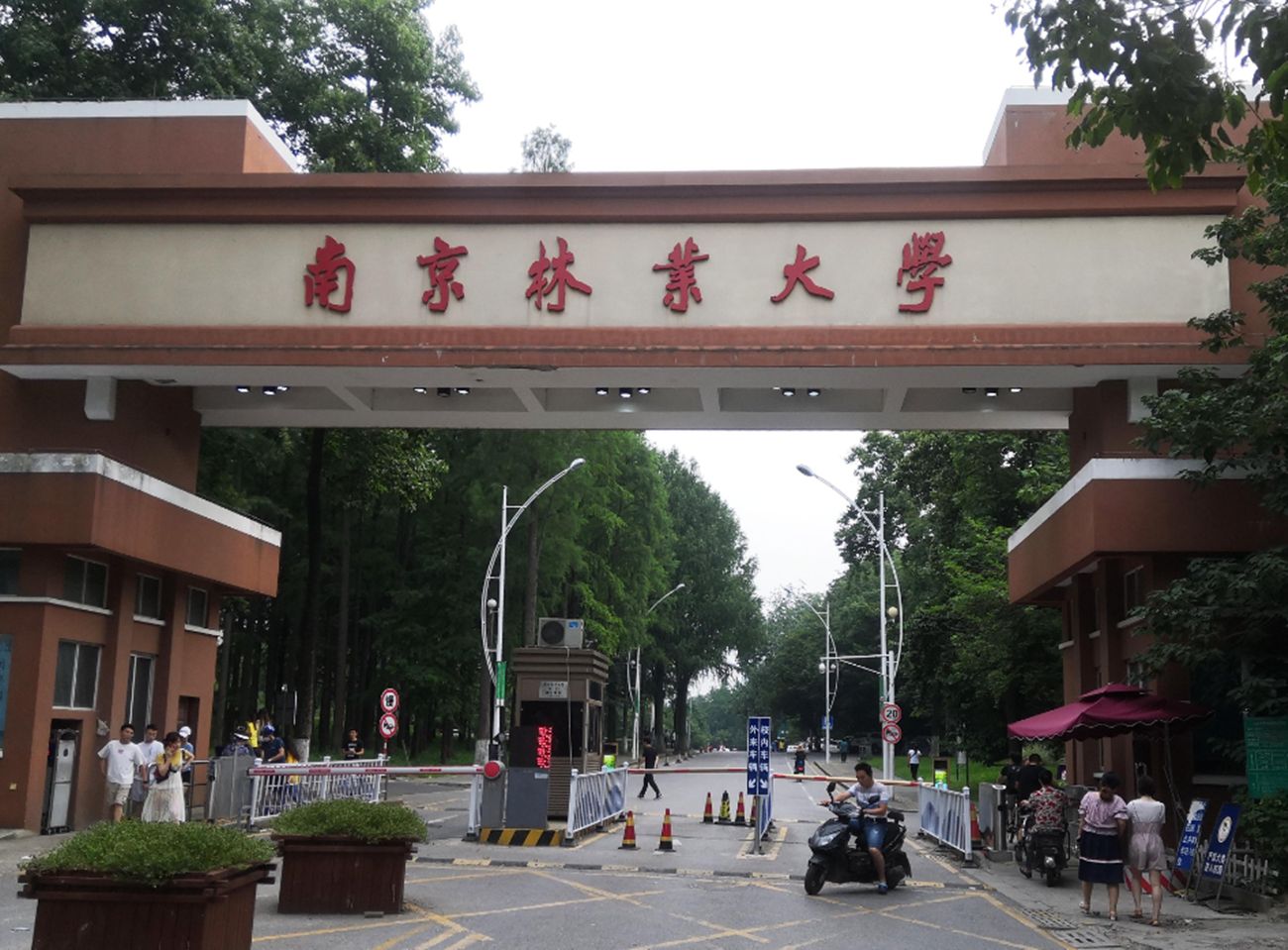 一線城市南京的南京林業大學,簡稱南林,這所大學既不是985,也不是211