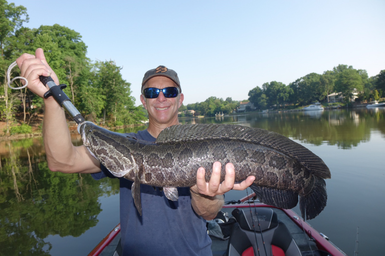 一条黑鱼引发的恐慌:2002年,亚洲黑鱼首次现身美国