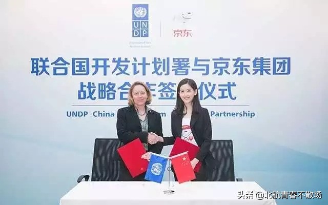 清华学霸章泽天的格局只做京东老板娘？别傻了，她早已为独立女性