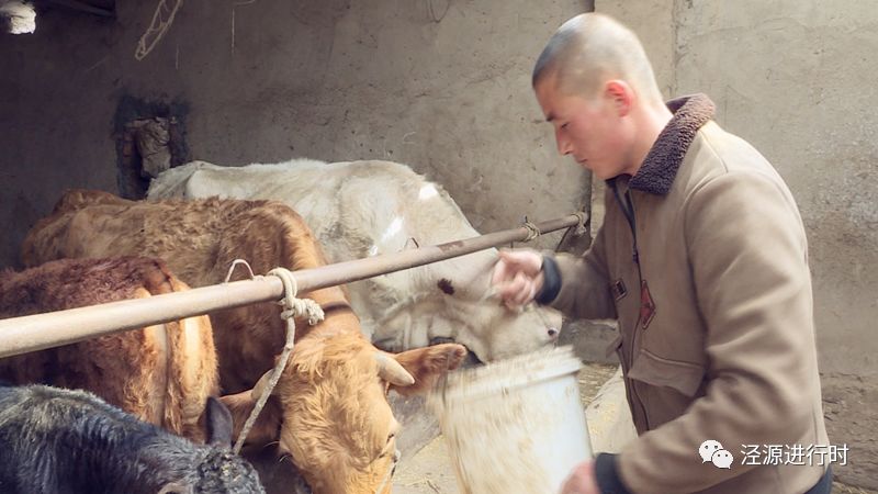 涇源：新民鄉(xiāng)禹偉宏，摘了窮帽奔“錢”程