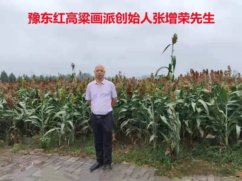 我眼中的豫东红高粱画派创始人张增荣