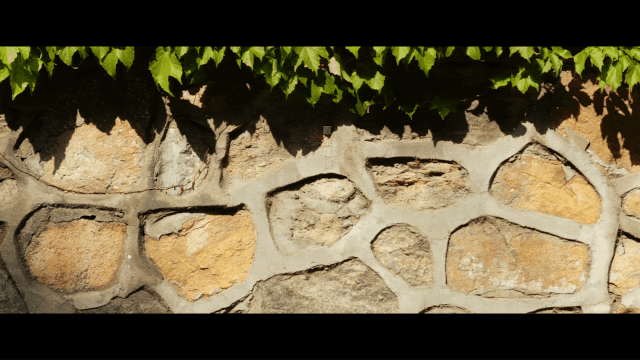 北京大学2020年招生宣传片发布！就在《你的大学，绽放》！