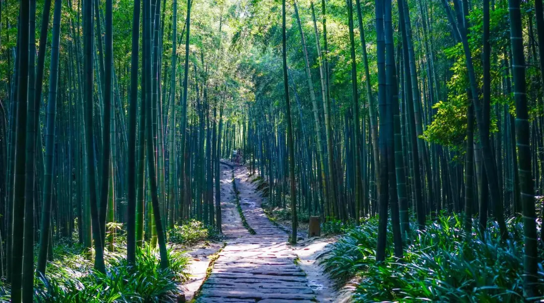 成都周边8个全家出游的好去处,自驾坐车都可以,一路风光美如画