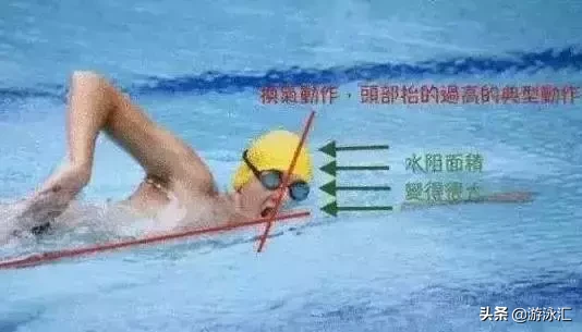 跳水运动员入水怎么呼吸(四种泳姿的换气技巧？)