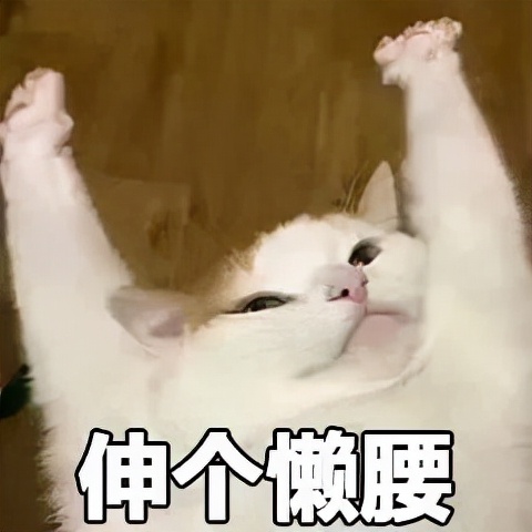 真样减肥运动最快(减肥比较快的运动)
