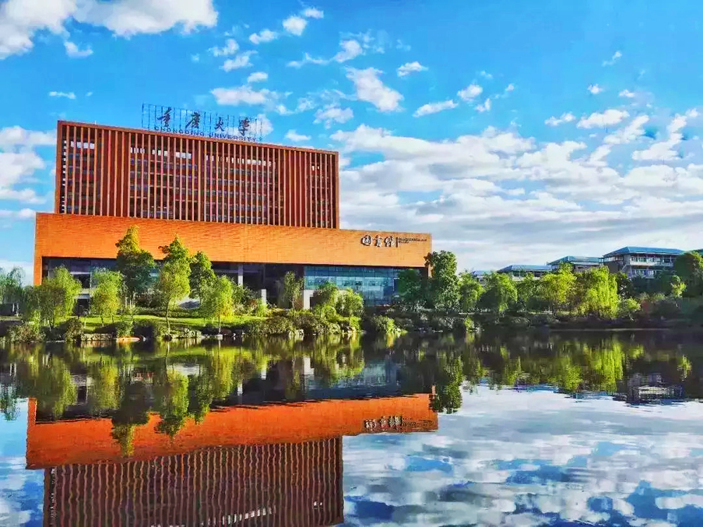 畅想:重庆大学城那么突出,会从沙坪坝区分出来吗?