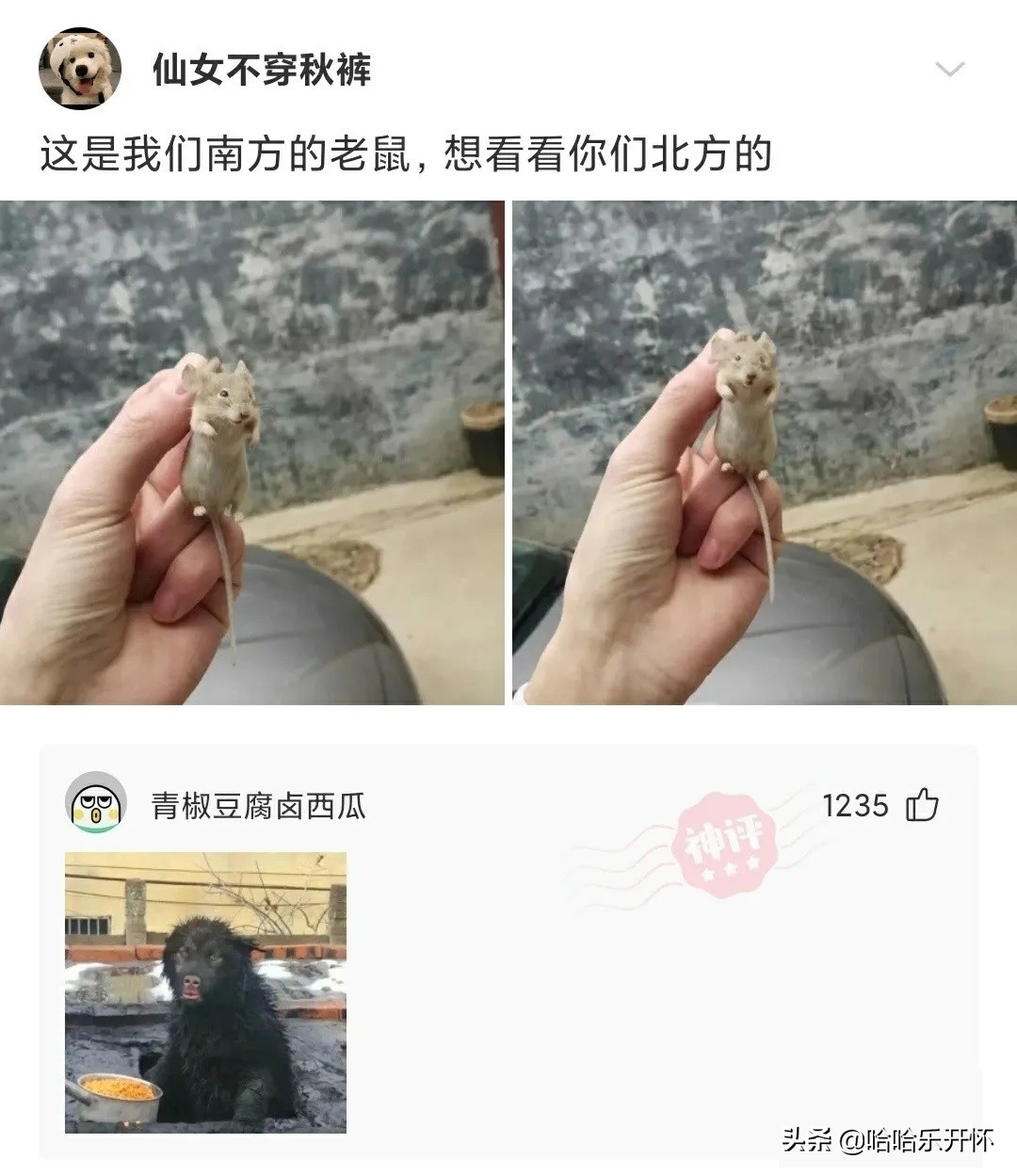 神评爆笑合集：酒桌文化是酒满敬人、茶满欺人，那给自己倒满呢？