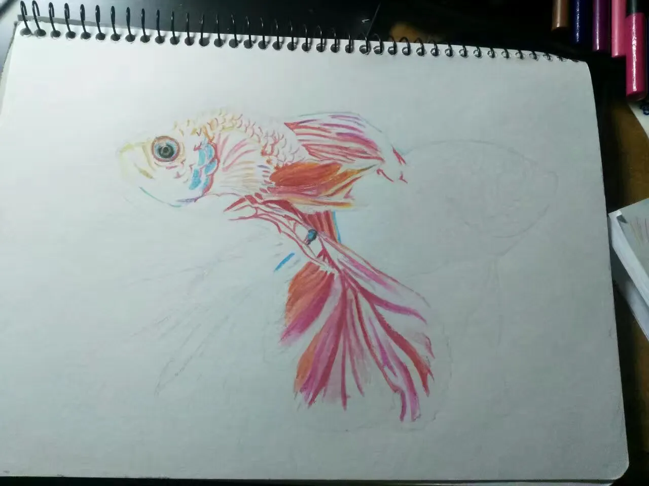 如何用水溶彩铅笔画鲤鱼