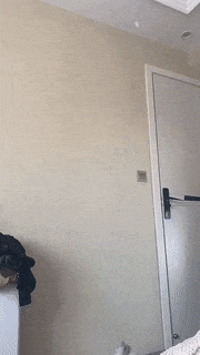 来打羽毛球是什么梗(“只有将亮度调亮，才能看懂的梗！”细节决定成败)