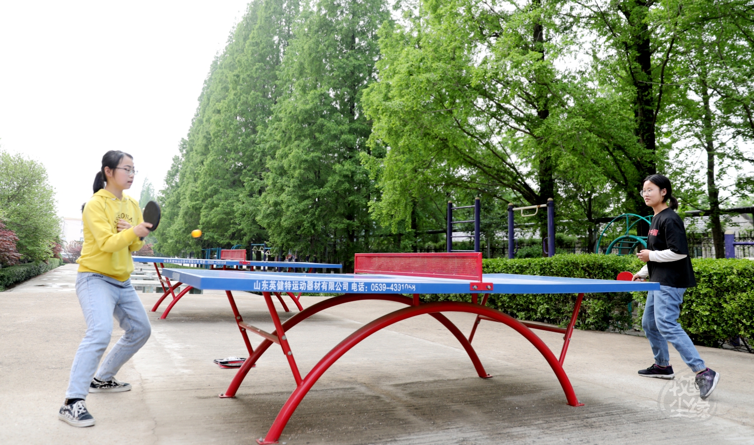 紫藤花开,临沂大学费县校区不是一般的美