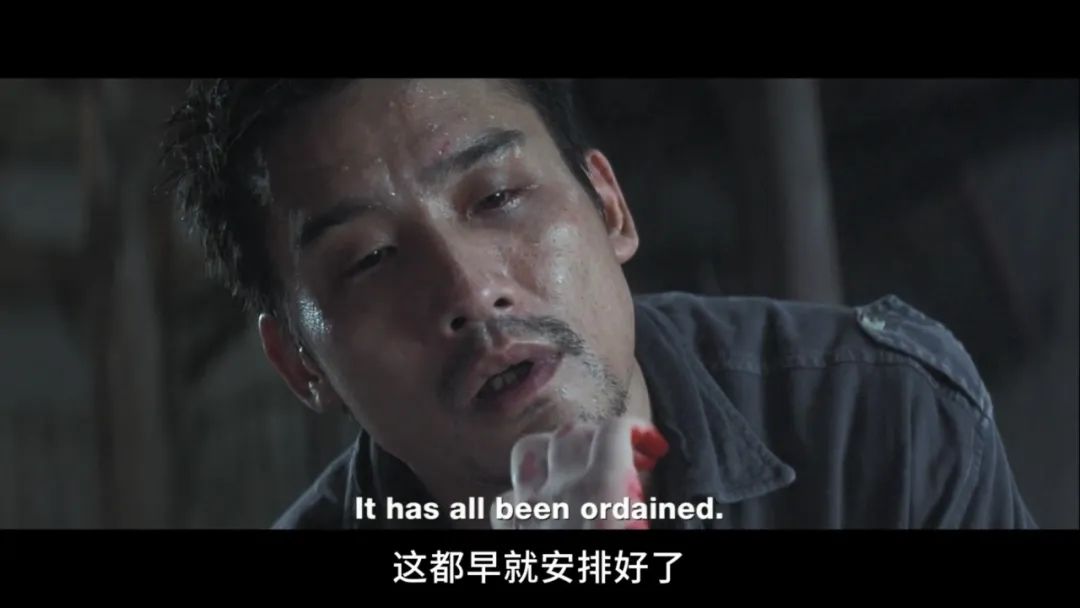 《双瞳》:中国文化走向世界的一个标杆