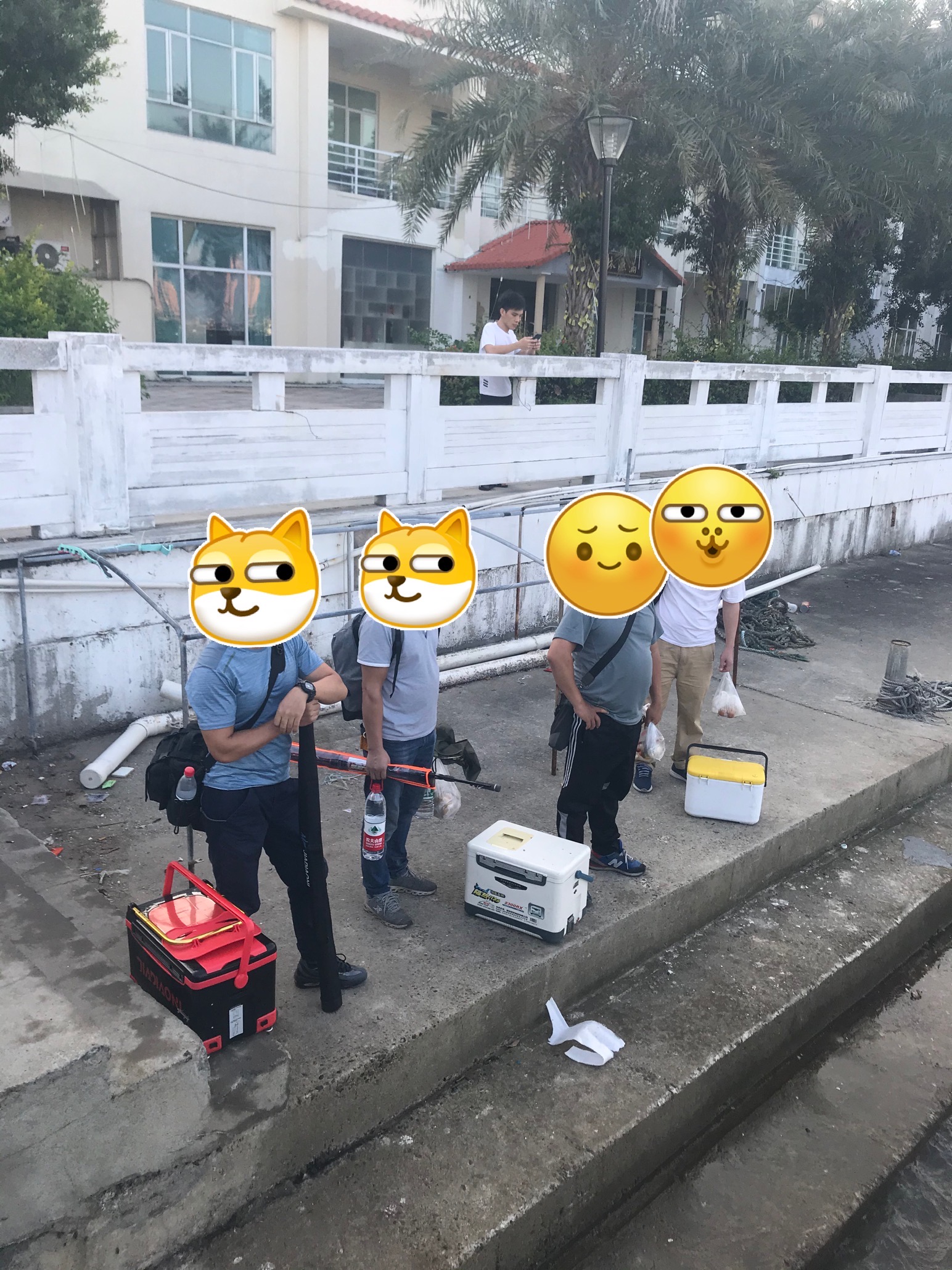 黄丁斑今日价格趋势