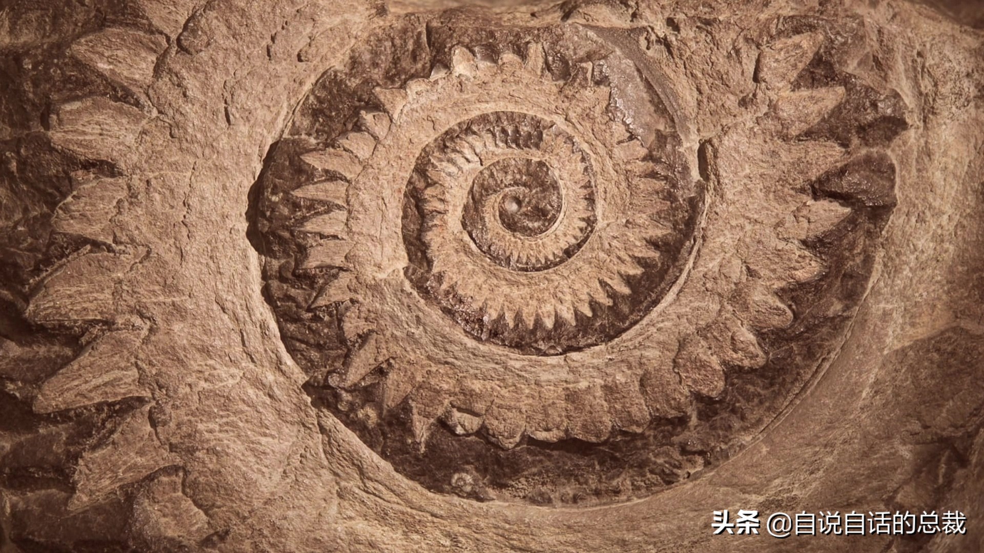 5种比巨齿鲨还恐怖的海怪，背后隐藏着一个人类起源的故事