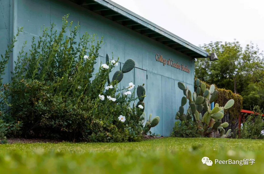 美国前30里，哪所大学不仅录取友好、强势学科还齐全？