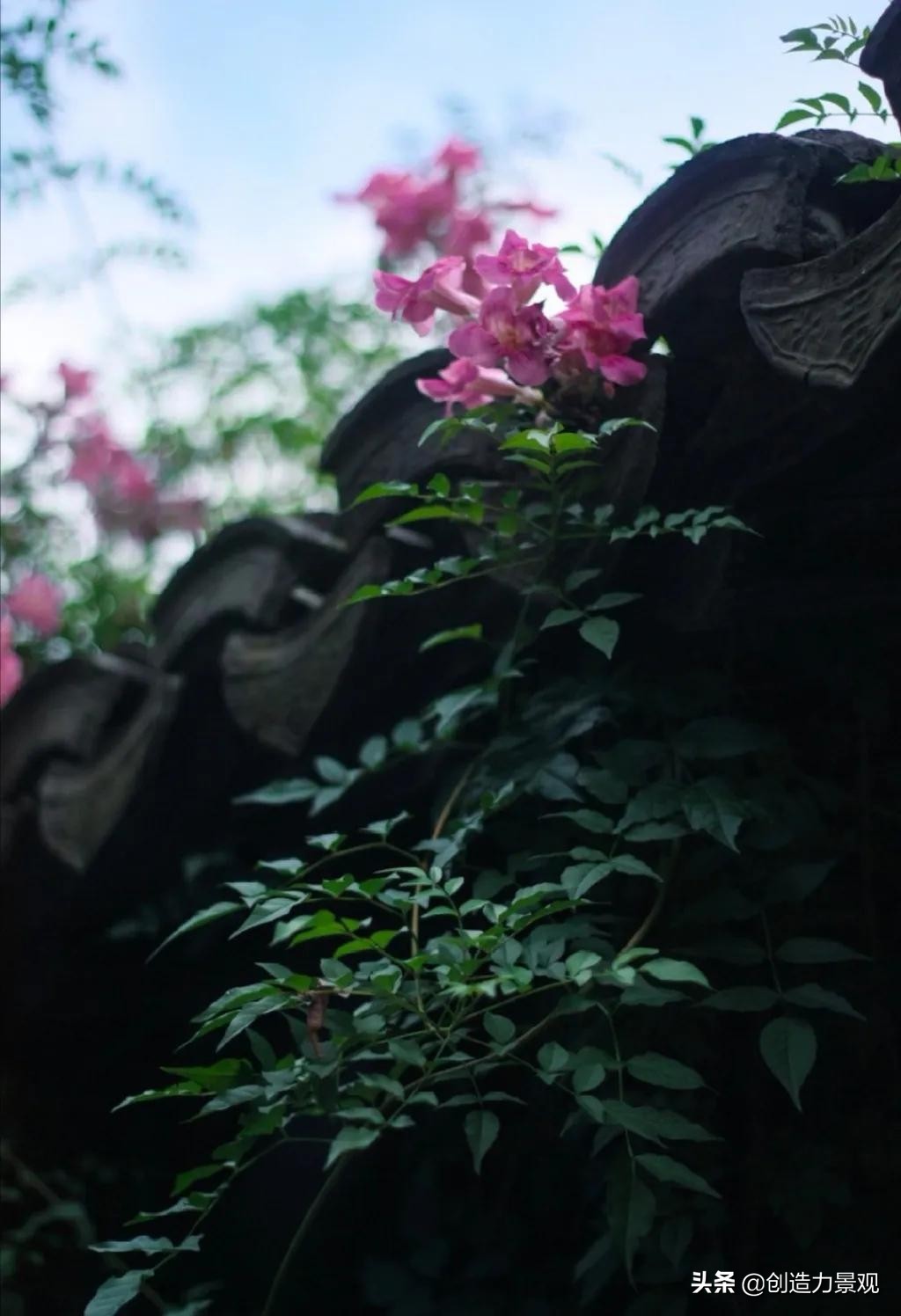 中式庭院，每一个角落都是一首诗，一步一趋皆是景