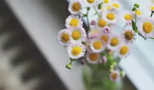 至理名言，正能量的英文句子