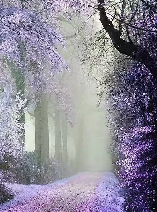 世界极致美景，一睹为快！