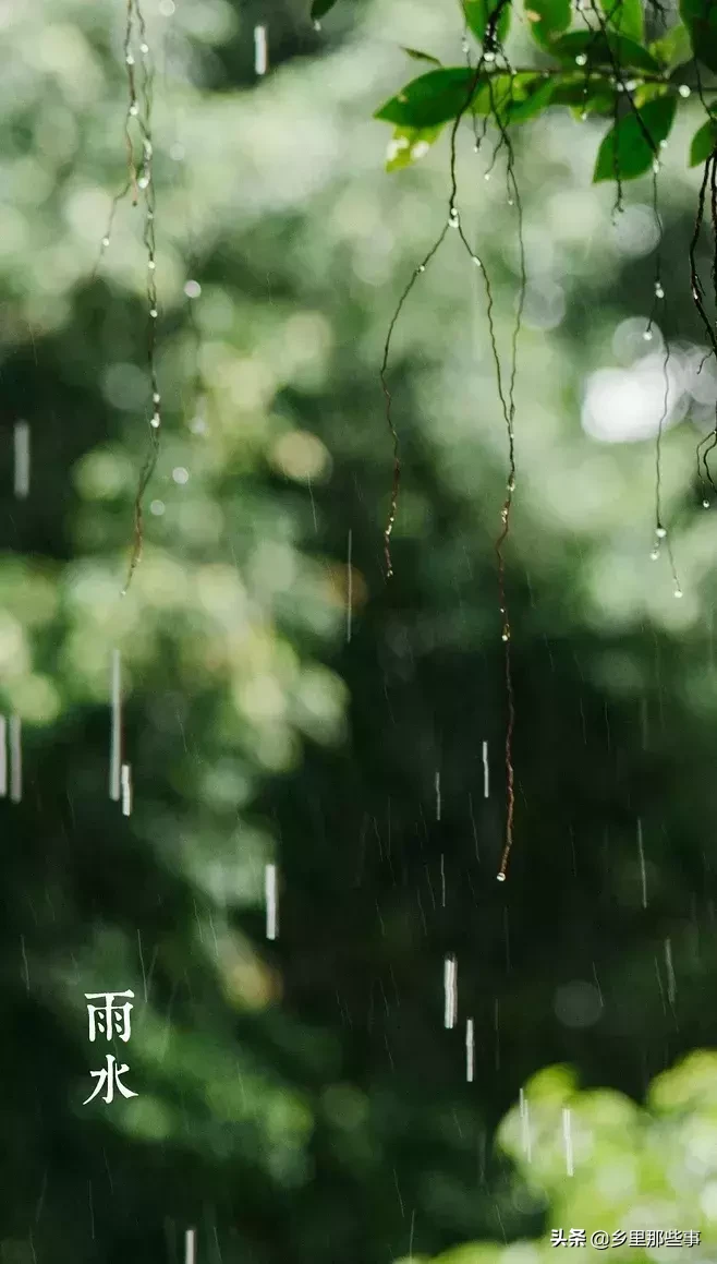 雨水｜随风潜入夜，润物细无声