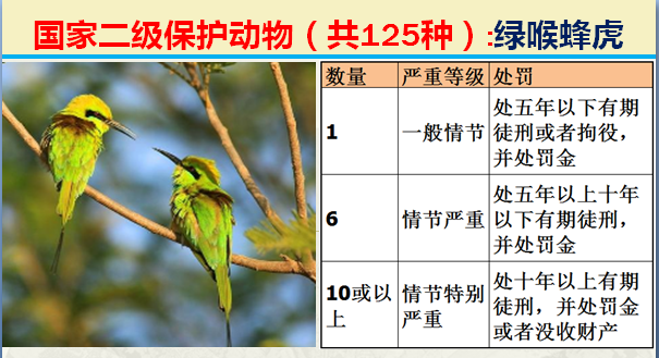 国家保护动物分几个等级（125类二级野生保护名录）