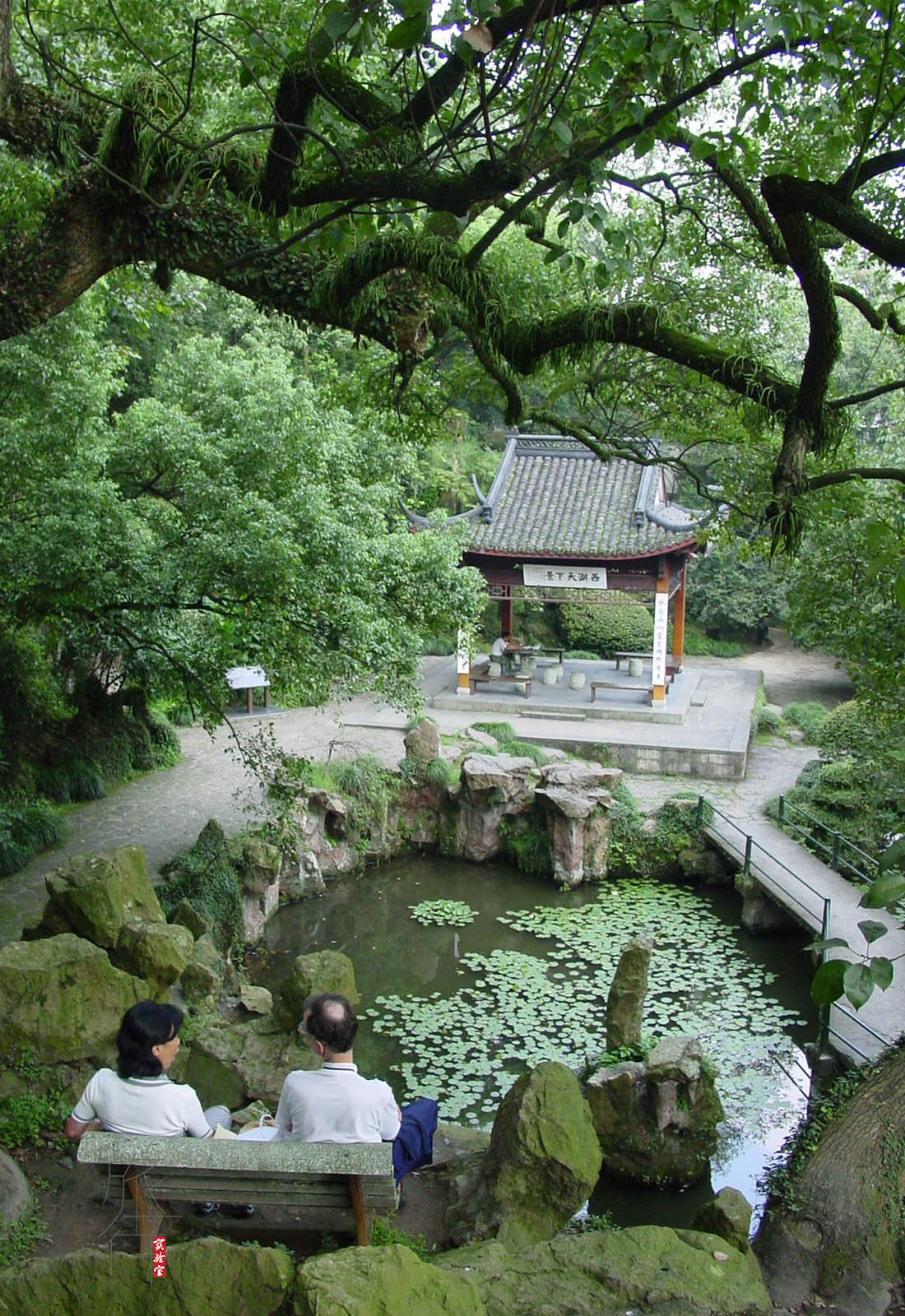浙江十大景点：西湖高分夺魁，普陀山遗憾落选，是否免门票成关键