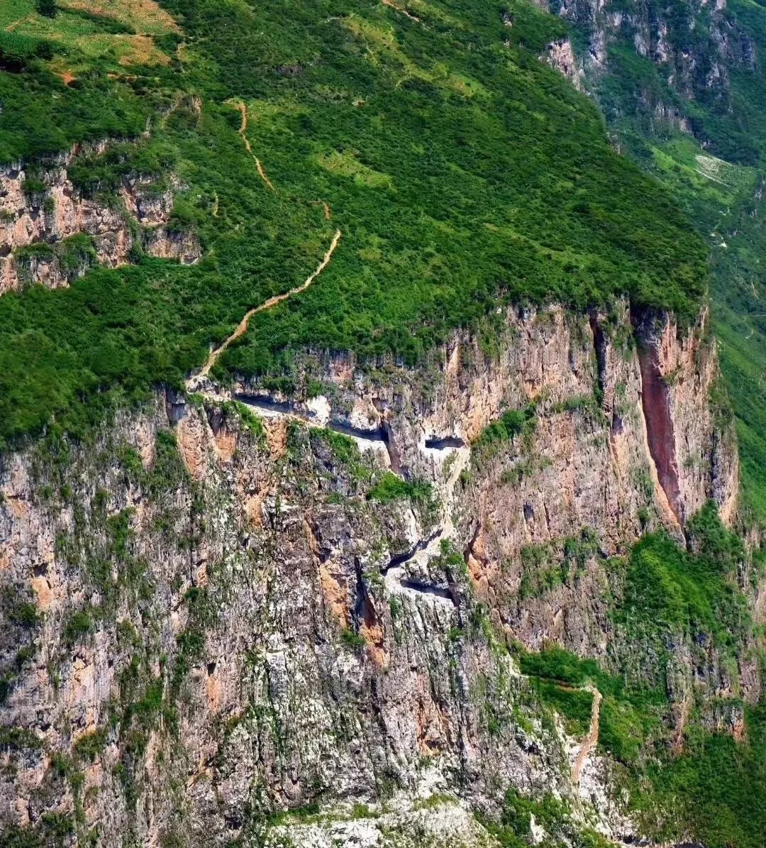 清明去哪儿？成都出发9条线路，踏青赏花逛古镇，采茶逗鹿看石刻