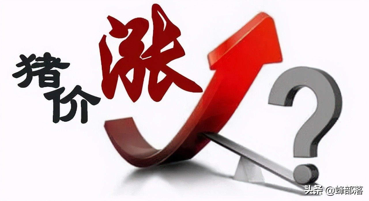 猪价8元观望，热钱进入猪市，猪肉价格上涨？控制好自己的菜篮子